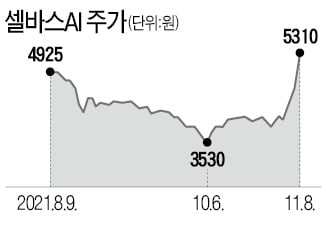 "숨은 메타버스株"…셀바스AI 급등