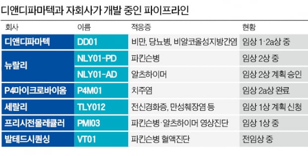 디앤디파마텍 "동시다발 美 임상"