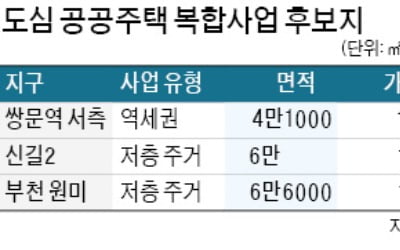 신길2 등 3곳 도심복합사업 지정 '속도'