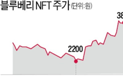 '마법의 주문' NFT에 취한 증시