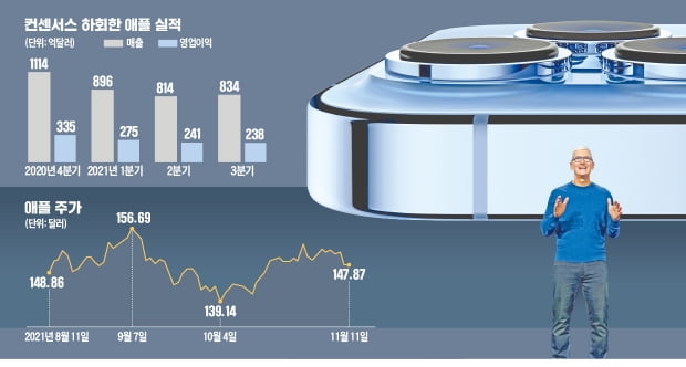 애플, 3분기 실적쇼크 후 횡보…갈아탈까, 더 살까