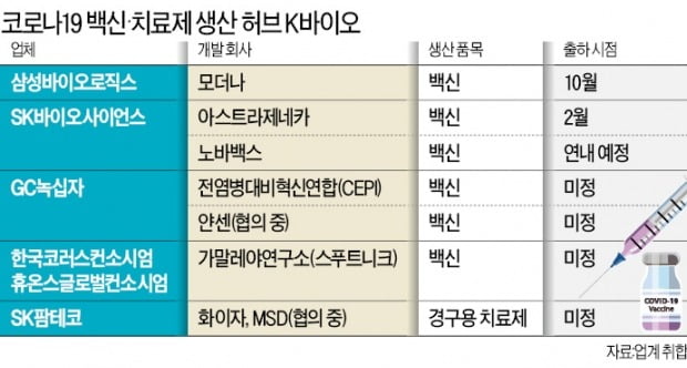 정부 "안전성 높은 노바백스 백신 곧 허가…부스터샷 등에 활용"