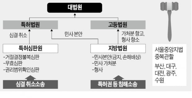 "변리사 특허소송 대리 허용 기업에 꼭 필요"