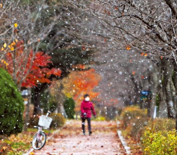 [포토] 小雪에 내린 눈