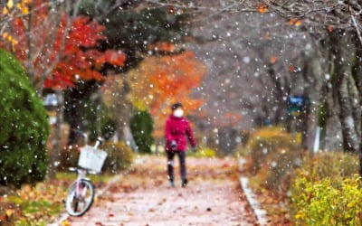 [포토] 小雪에 내린 눈