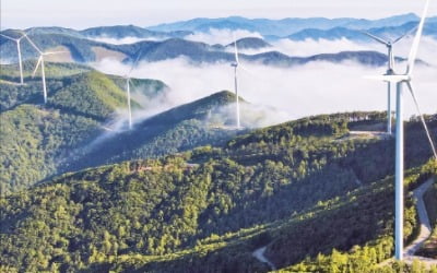 주민과 상생…코오롱 참여형 풍력발전 '순풍'