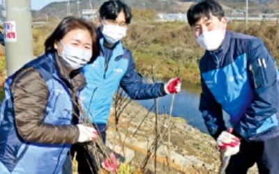 애경산업, 청양군에 '라일락길' 조성