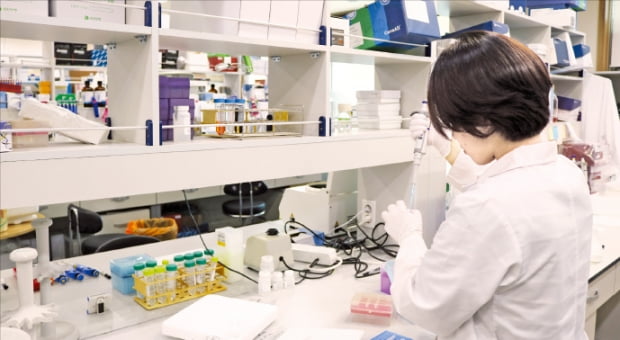 서울 금천구에 있는 툴젠 본사에서 한 연구원이 유전자가위 기술 연구를 하고 있다.  툴젠 제공 