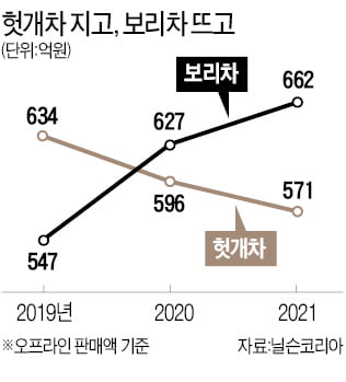 "익숙한 맛이 제일 좋아"…돌아온 보리차 전성시대