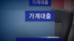 대출규제의 역설…"대출 받으려 사업자등록 낸다"