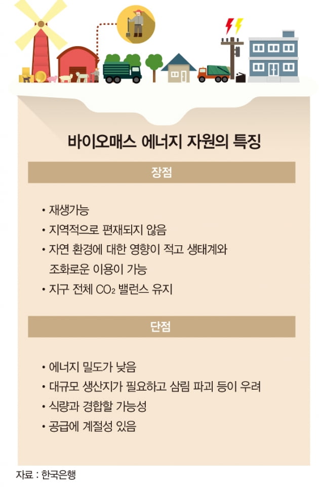 기후 변화 시대 유망 산업 ‘바이오매스 에너지’ 