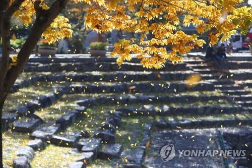 대구·경북 대체로 맑고 동해안 구름 많아