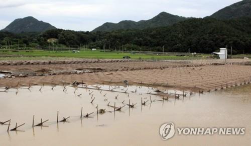 용담댐 방류 피해 지자체도 책임?…'뜨거운 감자' 되나