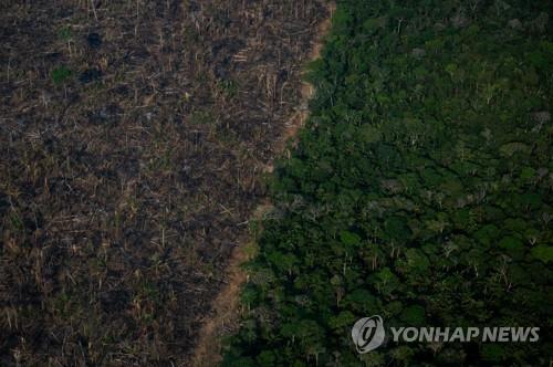 브라질 아마존 열대우림 파괴 15년만에 최악(종합)