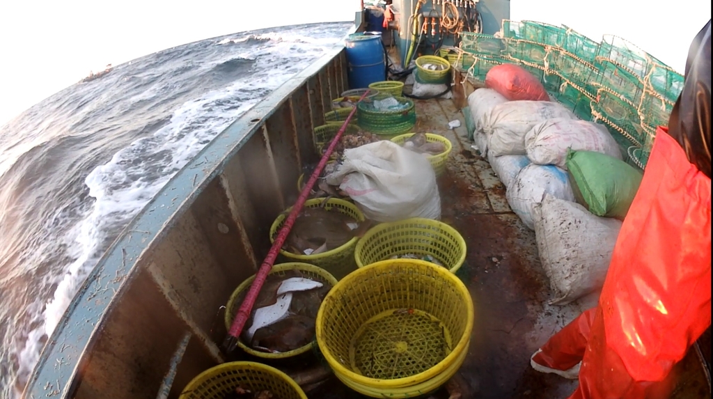 백령도 해상서 불법조업 중국어선 나포…어획물 220㎏ 발견