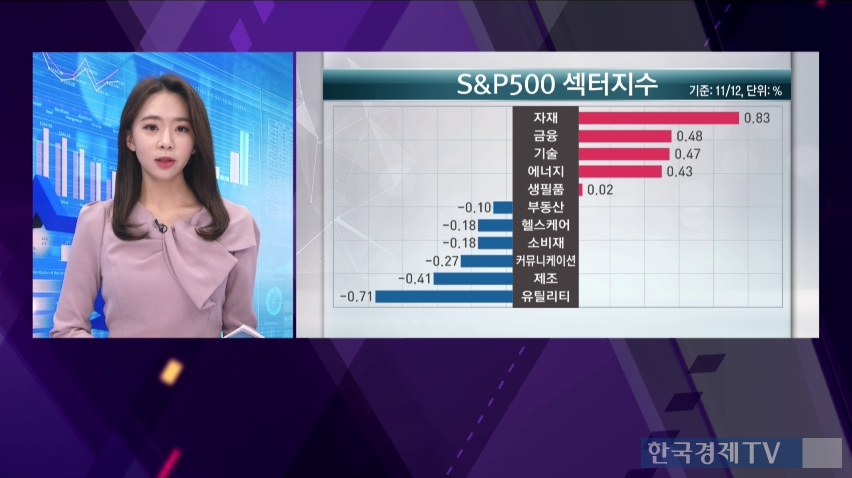 11월 12일 미국증시 특징주