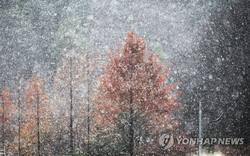 퇴근길 찬바람 불고 눈발…전북 최대 10cm 대설