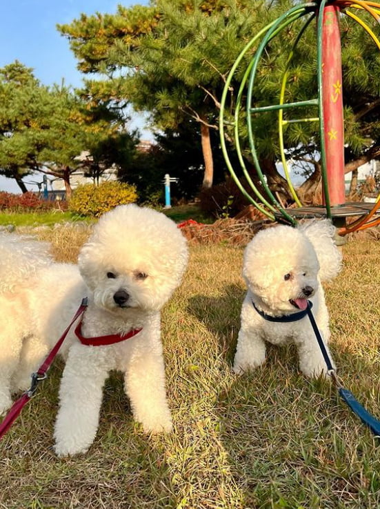 신세경, 민낯에 가까운 이 얼굴…인형 아닌가요? [TEN★]