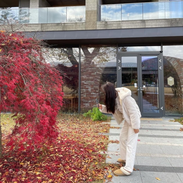 '39세 애셋맘' 김성은, 단풍 든 가을 정취에 취해 바닥에 철푸덕 "너무 이뻐" [TEN★]