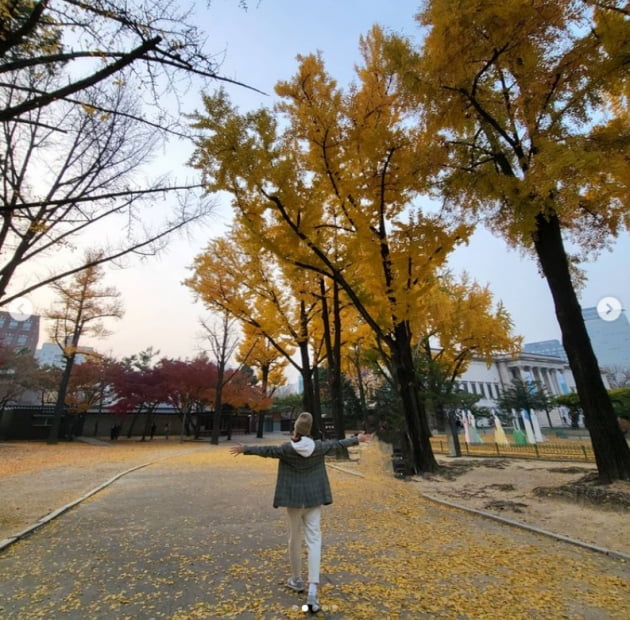 '쌍둥이 임신' 성유리, 덕수궁에서 힐링태교...아름다운 예비엄마[TEN★]