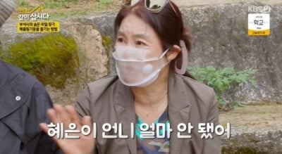 [종합] "남자 위해 희생?"…김청 "혜은이 얼마 안 됐다" 이혼 언급 ('같이삽시다')