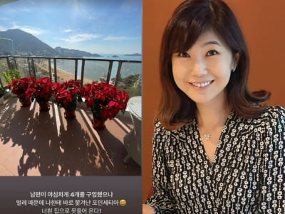 '홍콩 부촌댁' 강수정, 해변 보이는 고급 아파트…테라스엔 "포인세티아" [TEN★]