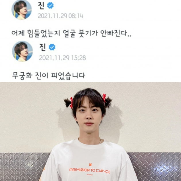 방탄소년단 진, 무궁화 진으로 피어난 '팬 사랑둥이'