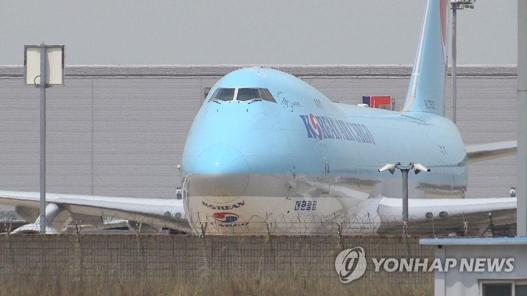 대한항공 여객기 이륙 후 새와 충돌…25분만에 김포공항 회항