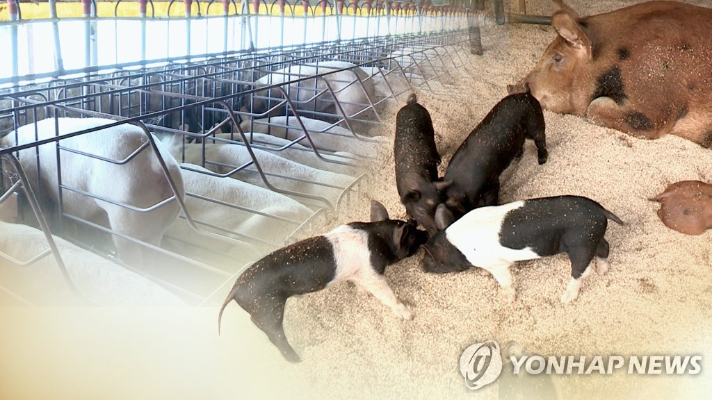 유엔, 경기도 돼지축사 지원사업 대북제재 면제 1년 연장