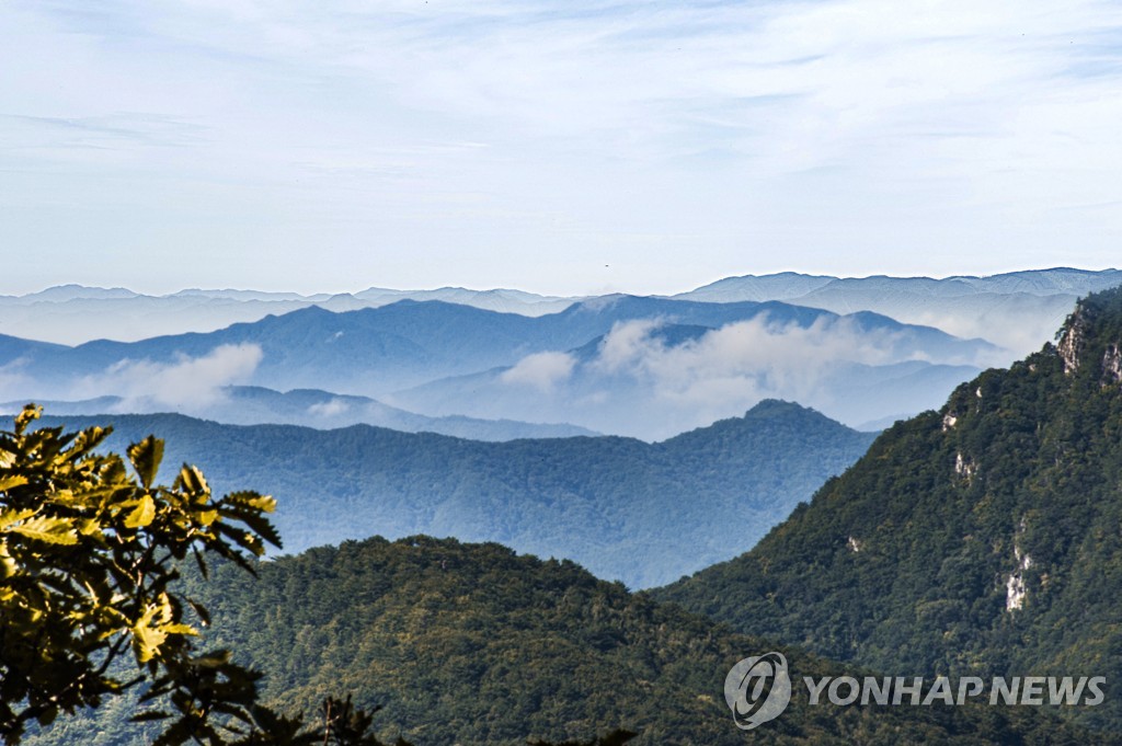 강원도, 코로나19 직격탄 관광사업체에 '회복지원금' 준다