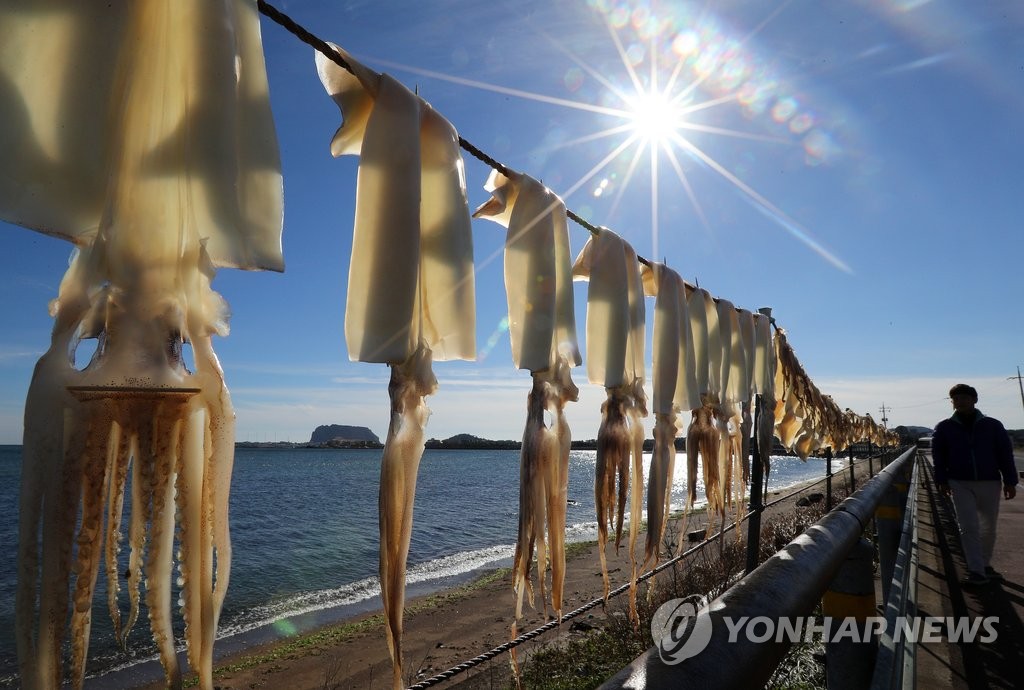 "위드 코로나 시작"…6가지 테마 입맛대로 제주 여행