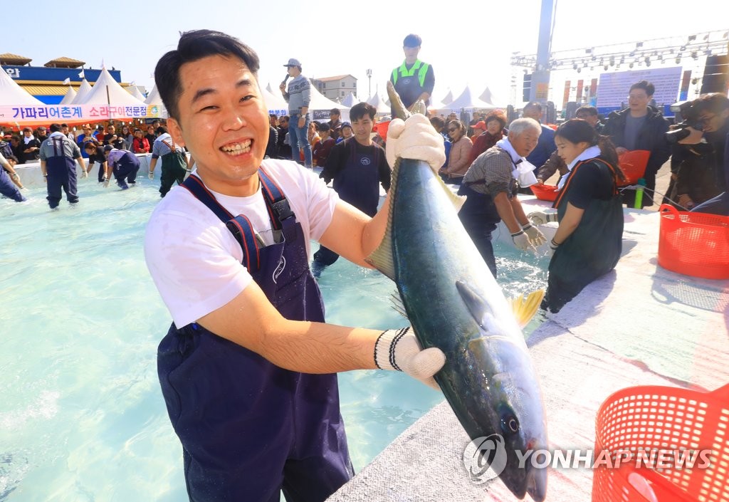 올해는 연다…코로나 딛고 생기찾은 가을·겨울축제 기지개 활짝