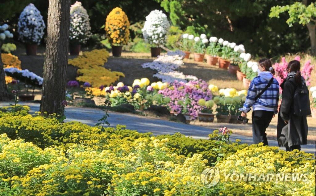 "지금은 위드 코로나 시대"…제주 주말 축제 '풍성'