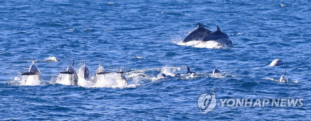 "위드 코로나 시작"…6가지 테마 입맛대로 제주 여행