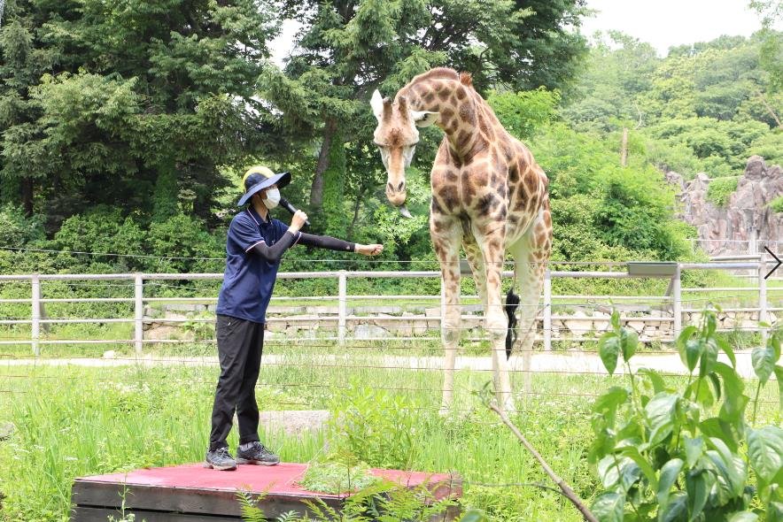 서울대공원, 하루 관람인원 확대…실내전시관도 부분 개방