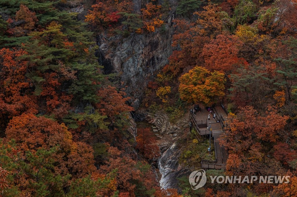 전국 단풍 '절정'…평년보다 매우 늦어