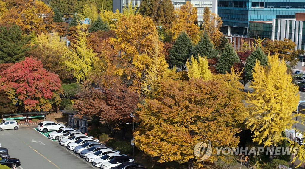 내일 낮도 포근…수도권·충청 등 미세먼지 '나쁨'