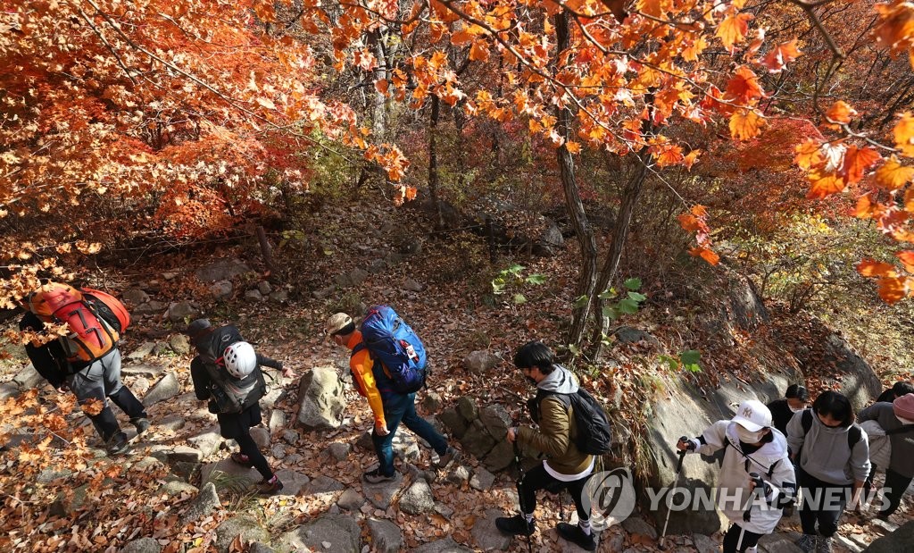 "가지 마, 가을아"…위드코로나 첫 휴일 유명 산·관광지 '북적'