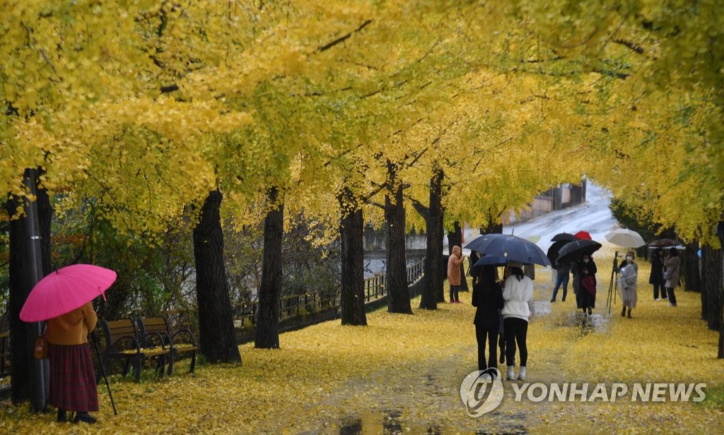 부울경 흐리고 5㎜ 비…체감온도 '뚝'