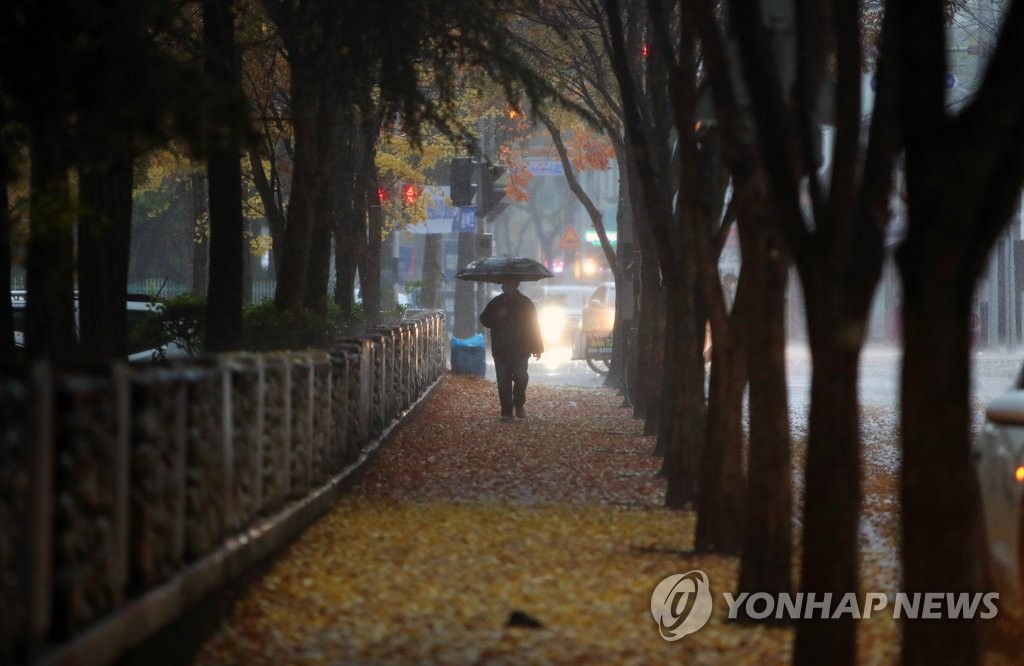 내일도 비 오고 오늘보다 쌀쌀…강원 산지에 대설경보 가능성