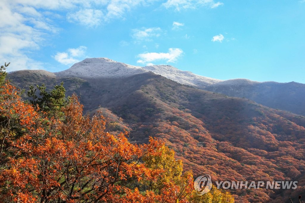 '가는 가을이 아쉬워'…전국 곳곳 막바지 단풍 행락객 '북적'