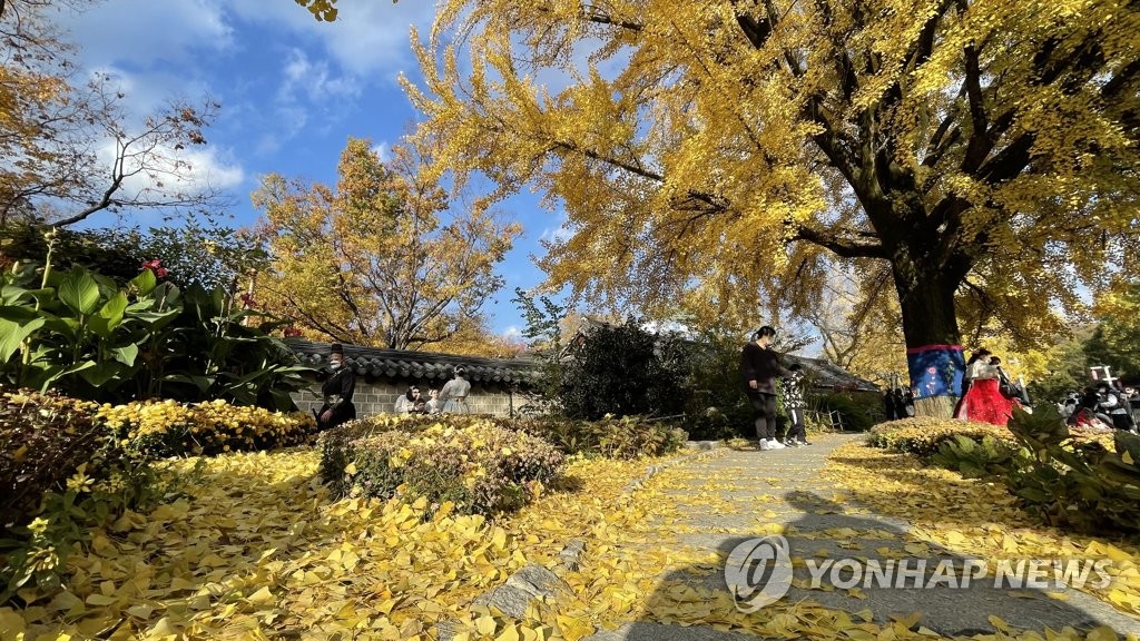 '가을 끝자락' 유원지·유명산 인파…'겨울 길목' 스키장 활기