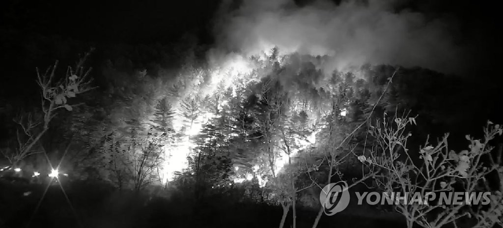 강원 양양 서면 산불로 펜션 투숙객 대피…정상으로 번져