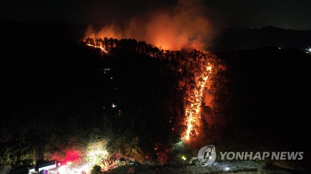 쓰레기 소각하다 산림 0.5㏊ 태운 양양산불 실화자 입건