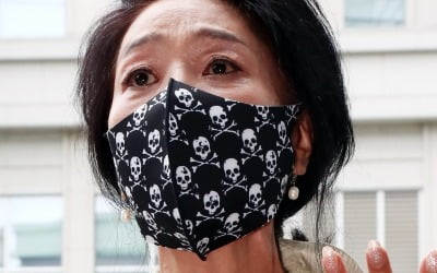 '이재명에 3억 청구' 김부선 손배소 재판, 내년 1월로 연기