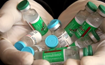 WHO, 인도 코로나19 백신 '코백신' 긴급사용 승인