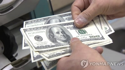 원/달러 환율 1,176.5원 마감…한때 10원 이상 올라