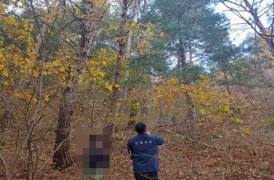 정선국유림관리소, 국유림 내 임산물 불법채취 2명 적발 조사