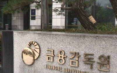 수익률 벌써 60%…금감원서 입소문 난 '인싸 펀드'의 정체