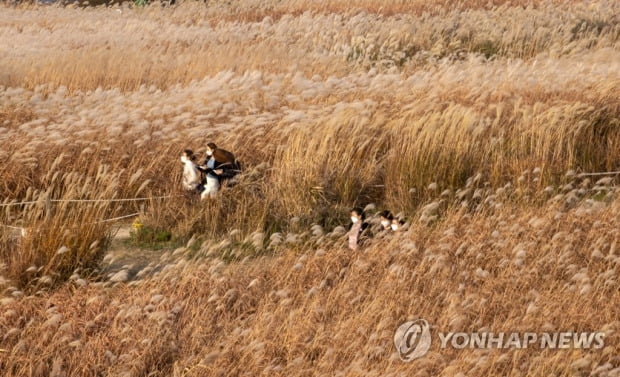 맑은 가을날…서쪽지역 일부 미세먼지 '나쁨'